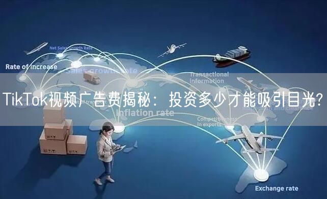 TikTok视频广告费揭秘：投资多少才能吸引目光?
