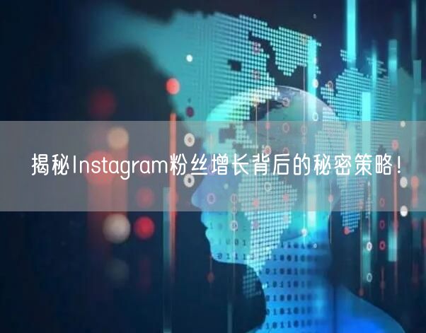 揭秘Instagram粉丝增长背后的秘密策略！
