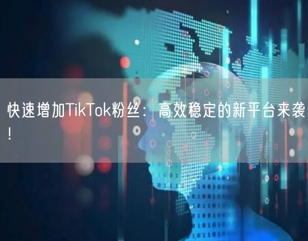 快速增加TikTok粉丝:高效稳定的新平台来袭!