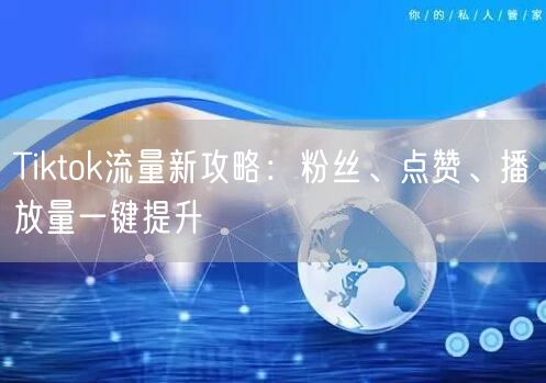 Tiktok流量新攻略：粉丝、点赞、播放量一键提升