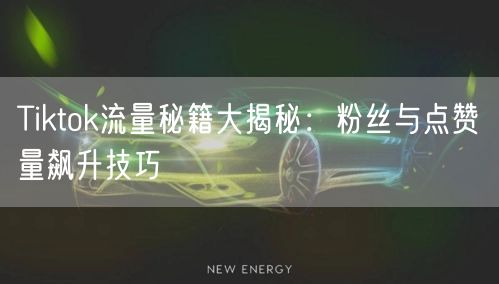 Tiktok流量秘籍大揭秘:粉丝与点赞量飙升技巧