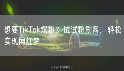 想要TikTok爆粉？试试粉刷客，轻松实现网红梦