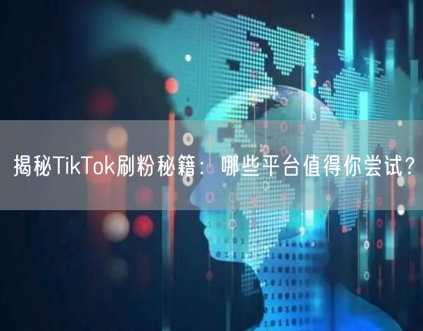 揭秘TikTok刷粉秘籍：哪些平台值得你尝试？