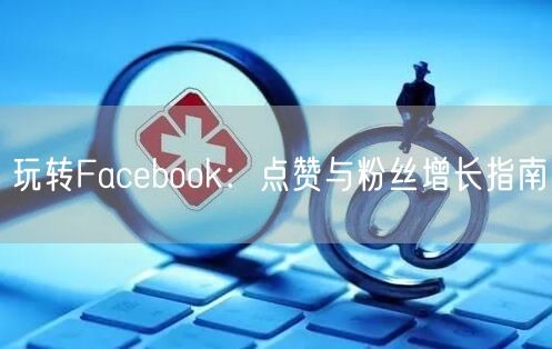 玩转Facebook：点赞与粉丝增长指南
