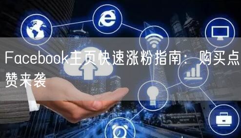 Facebook主页快速涨粉指南:购买点赞来袭
