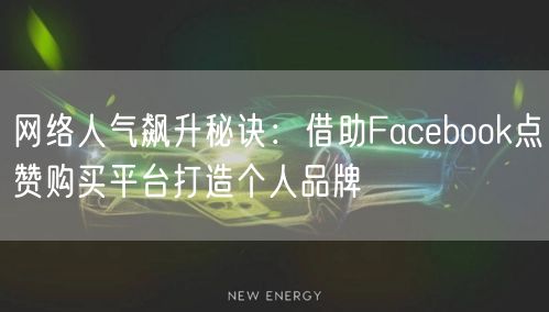 网络人气飙升秘诀:借助Facebook点赞购买平台打造个人品牌