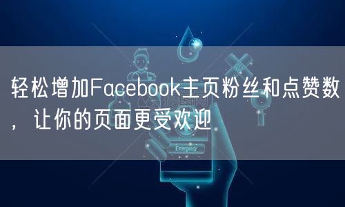 轻松增加Facebook主页粉丝和点赞数，让你的页面更受欢迎