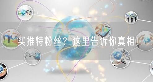 买推特粉丝?这里告诉你真相!