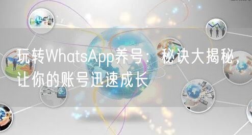 玩转WhatsApp养号:秘诀大揭秘,让你的账号迅速成长