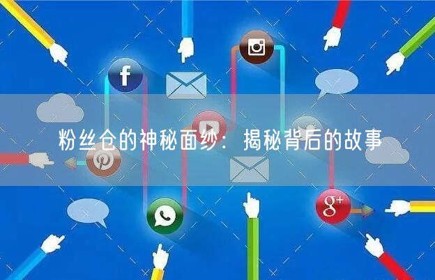 粉丝仓的神秘面纱：揭秘背后的故事