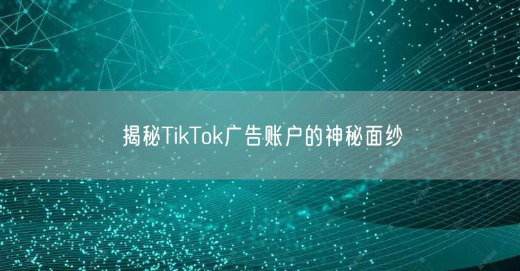揭秘TikTok广告账户的神秘面纱