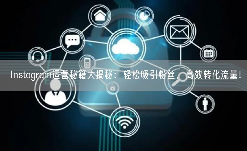 Instagram运营秘籍大揭秘:轻松吸引粉丝,高效转化流量!