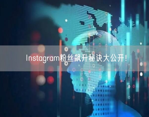 Instagram粉丝飙升秘诀大公开!