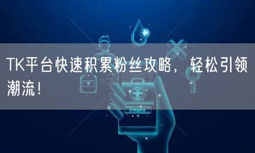TK平台快速积累粉丝攻略,轻松引领潮流!