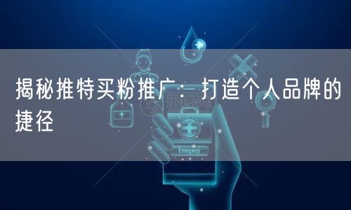 揭秘推特买粉推广：打造个人品牌的捷径