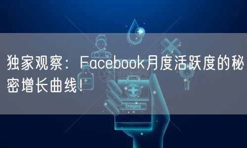 独家观察:Facebook月度活跃度的秘密增长曲线!