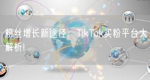 粉丝增长新途径:TikTok买粉平台大解析!