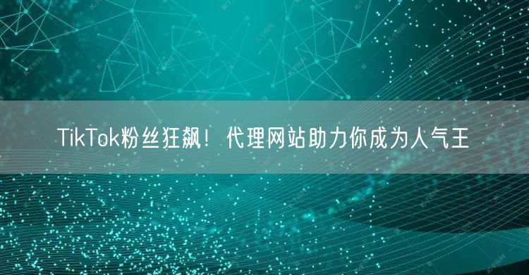 TikTok粉丝狂飙!代理网站助力你成为人气王