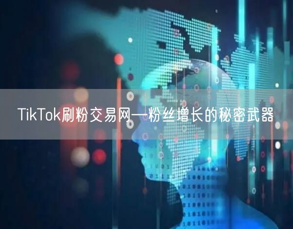 TikTok刷粉交易网—粉丝增长的秘密武器
