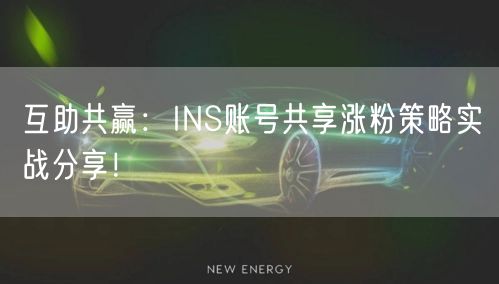 互助共赢:INS账号共享涨粉策略实战分享!