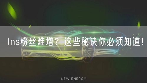 Ins粉丝难增?这些秘诀你必须知道!