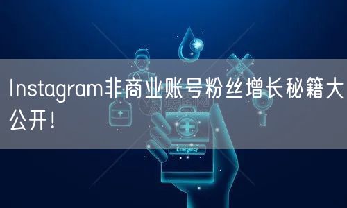 Instagram非商业账号粉丝增长秘籍大公开！