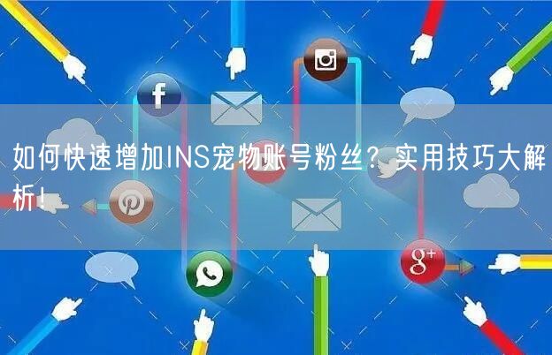 如何快速增加INS宠物账号粉丝？实用技巧大解析！