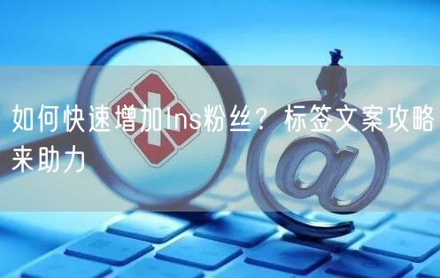 如何快速增加Ins粉丝？标签文案攻略来助力