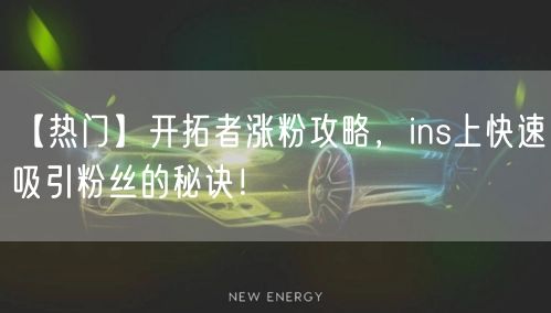 【热门】开拓者涨粉攻略,ins上快速吸引粉丝的秘诀!