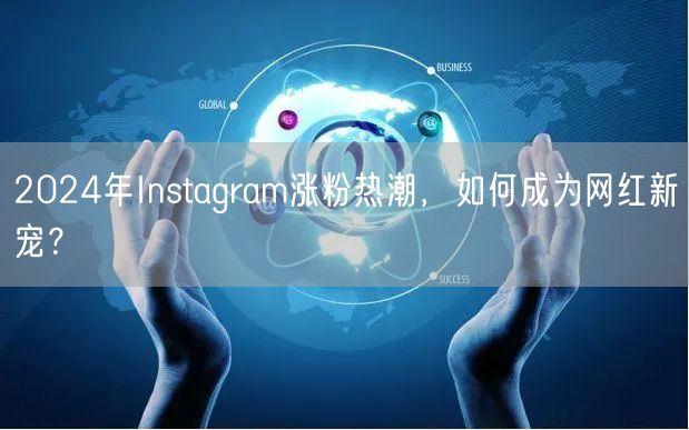 2024年Instagram涨粉热潮，如何成为网红新宠？