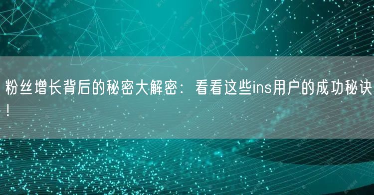 粉丝增长背后的秘密大解密：看看这些ins用户的成功秘诀！