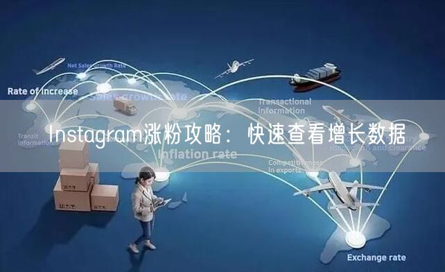 Instagram涨粉攻略：快速查看增长数据
