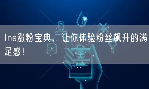 Ins涨粉宝典,让你体验粉丝飙升的满足感!