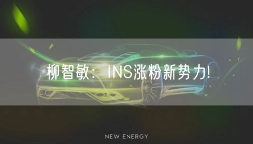 柳智敏：INS涨粉新势力!