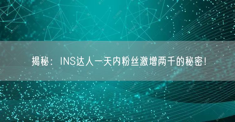 揭秘：INS达人一天内粉丝激增两千的秘密！