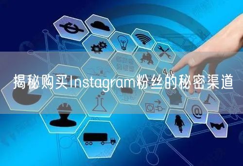 揭秘购买Instagram粉丝的秘密渠道