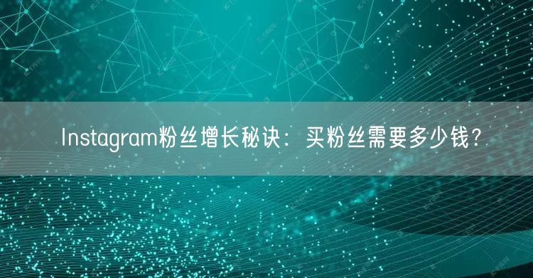 Instagram粉丝增长秘诀：买粉丝需要多少钱？