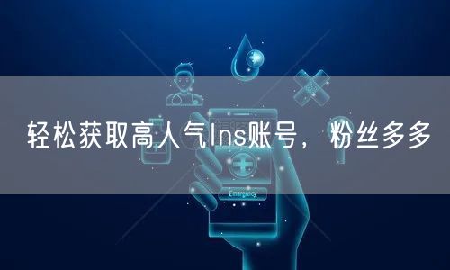 轻松获取高人气Ins账号，粉丝多多