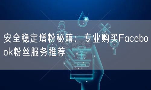 安全稳定增粉秘籍：专业购买Facebook粉丝服务推荐