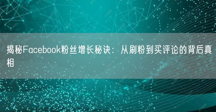 揭秘Facebook粉丝增长秘诀:从刷粉到买评论的背后真相