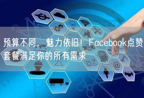 预算不同,魅力依旧!Facebook点赞套餐满足你的所有需求