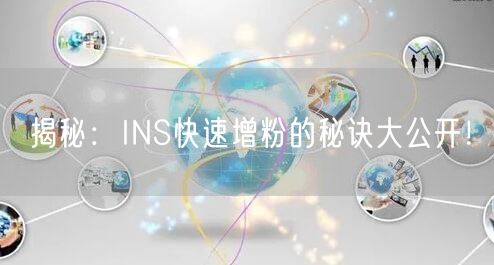 揭秘:INS快速增粉的秘诀大公开!
