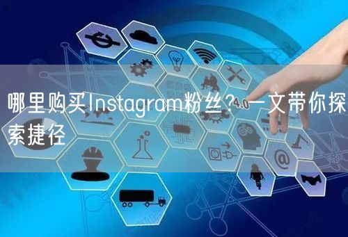 哪里购买Instagram粉丝?一文带你探索捷径