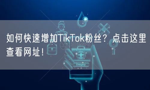 如何快速增加TikTok粉丝?点击这里查看网址!