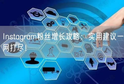 Instagram粉丝增长攻略:实用建议一网打尽!