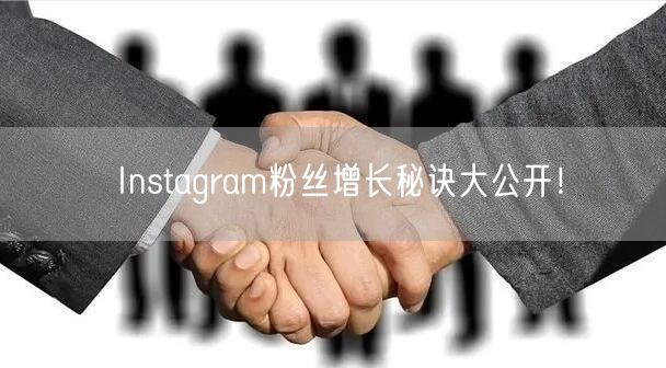 Instagram粉丝增长秘诀大公开!