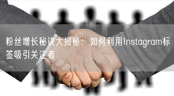 粉丝增长秘诀大揭秘:如何利用Instagram标签吸引关注者