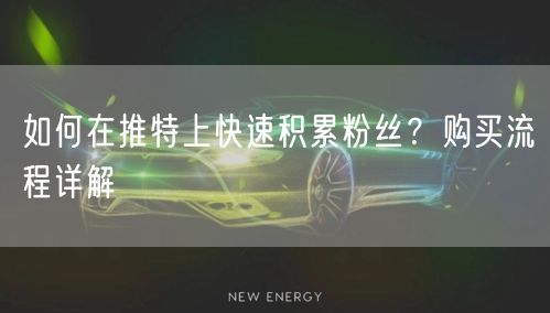 如何在推特上快速积累粉丝？购买流程详解