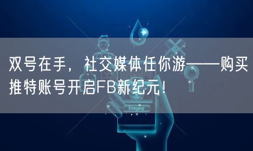 双号在手，社交媒体任你游——购买推特账号开启FB新纪元！
