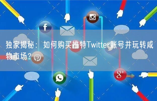 独家揭秘：如何购买推特Twitter账号并玩转咸物市场？